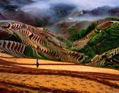 Longji Terraced Field