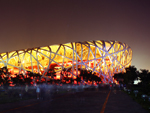 Bird Nest