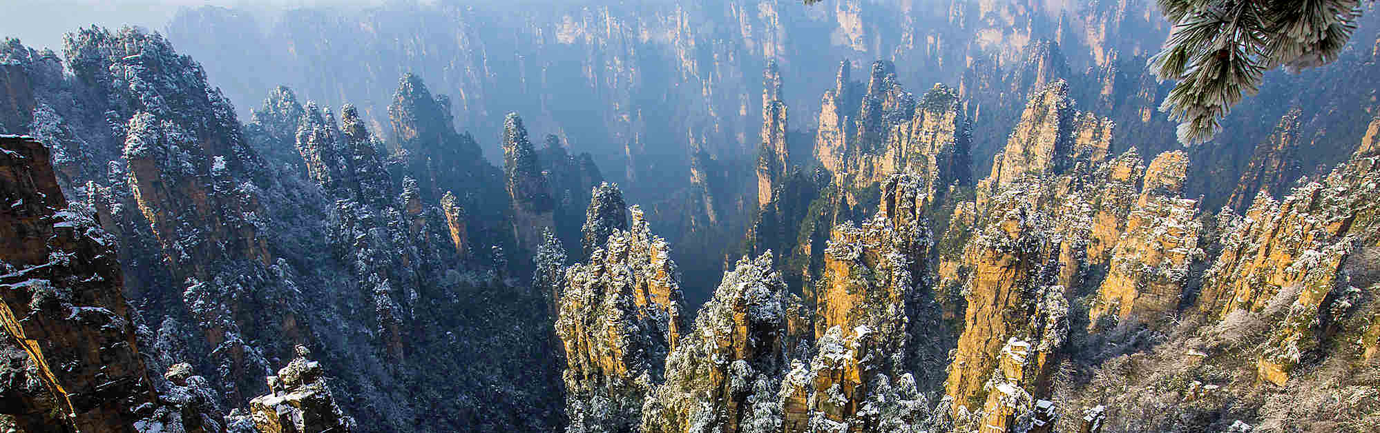 One-Day Zhangjiajie National Forest Park Tour