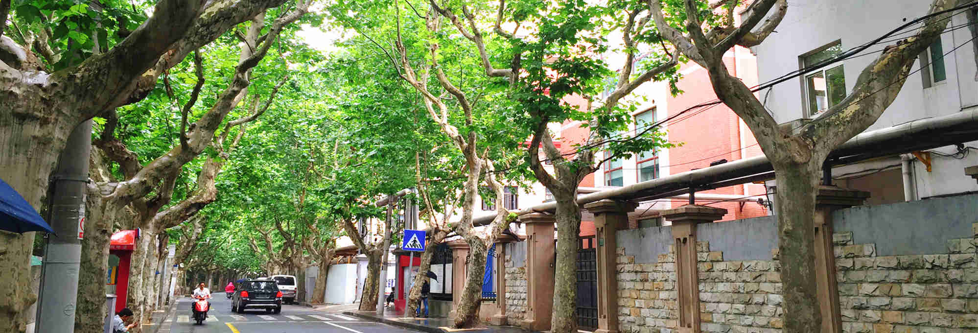 3-Hour Former French Concession Walking Discovery Tour