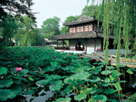 Humble Administrators Garden