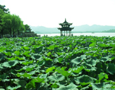 West Lake