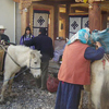 Experience Local Life