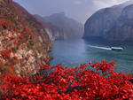 Essence of China Group Tour 2012