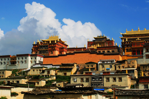 Essence of China Group Tour 2012