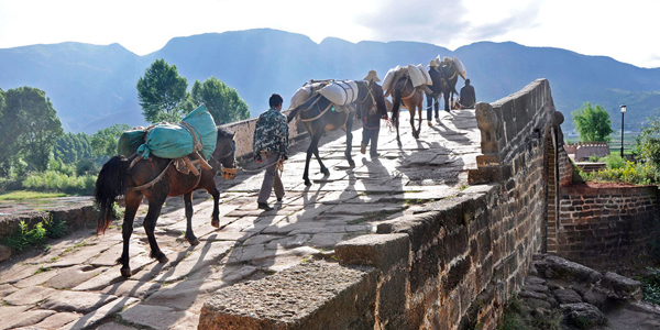 Tea Horse Road