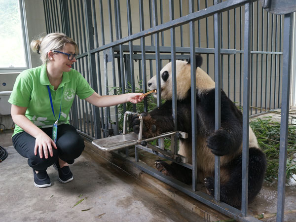 Feed a panda
