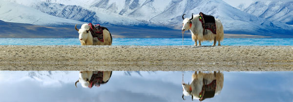 5-day Lhasa and Lake Yamdrok Tour