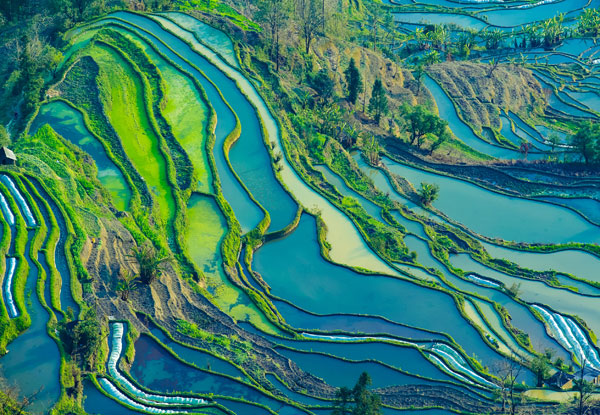 6-Day Kunming- Jianshui- Yuanyang Tour