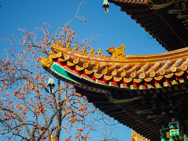 Lama Temple