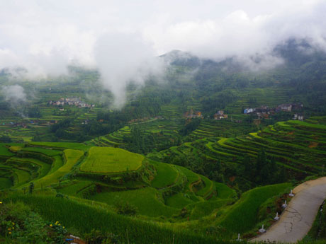 Rice-Terrace Hiking