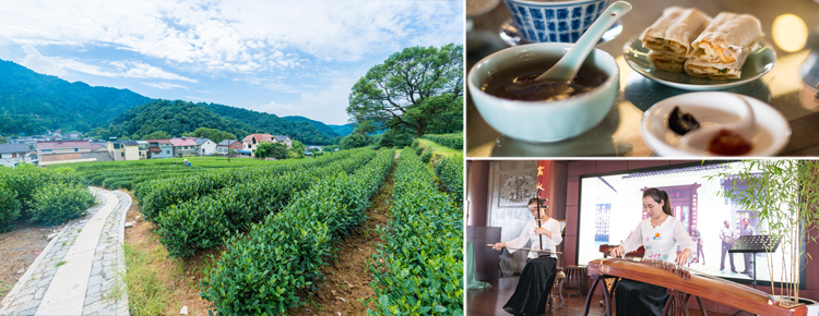 Meijiawu Tea Plantation