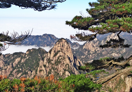 The Yellow Mountains