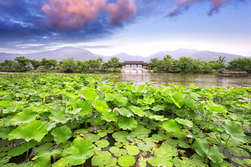 the West Lake