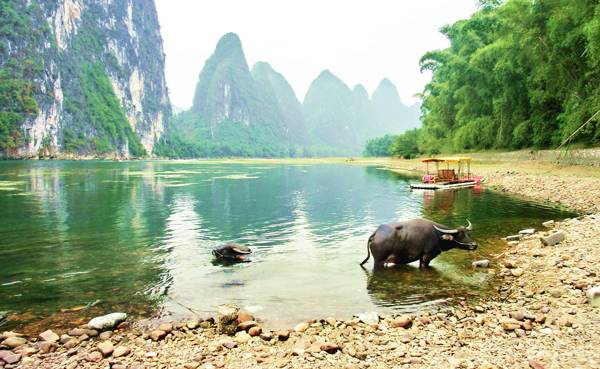 Enjoy a Li River Cruise