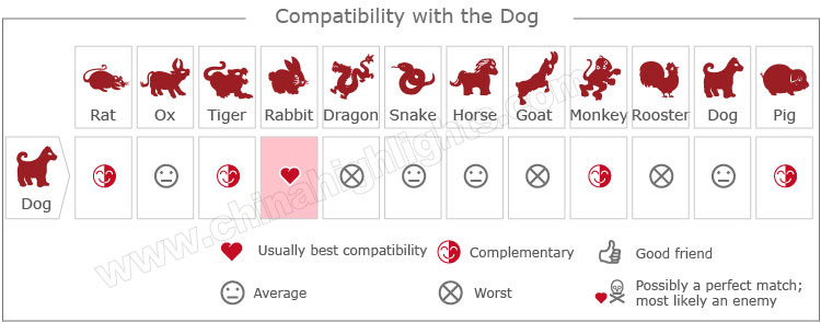Love Compatibility with the Dog