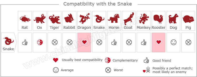 Love Compatibility with the Snake