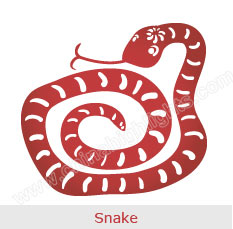 Snake - Chinese Zodiac Signs