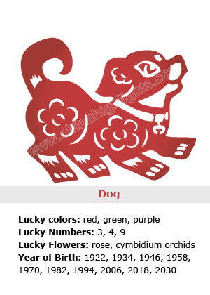 Five Elements Analysis for Dog Year People