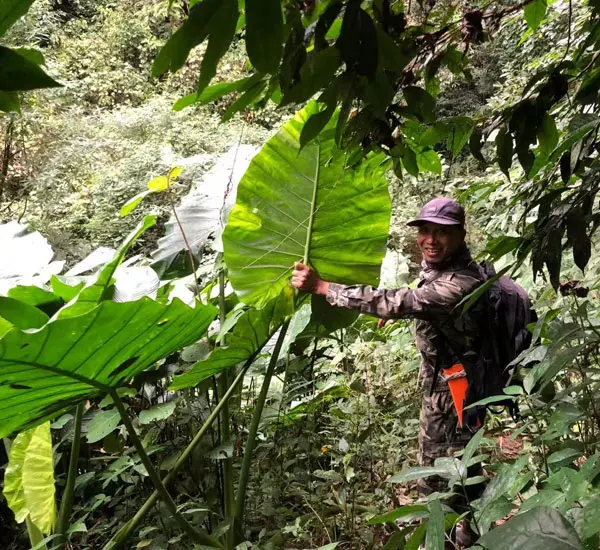 森の中でハイキングーお客様からの写真