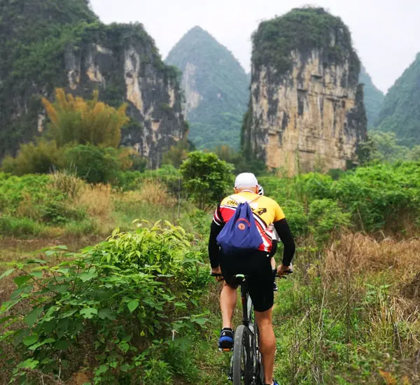お客様から手配例3－3