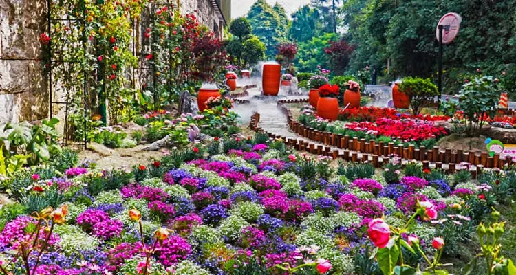 the garden of local hotels in Dujiangyan