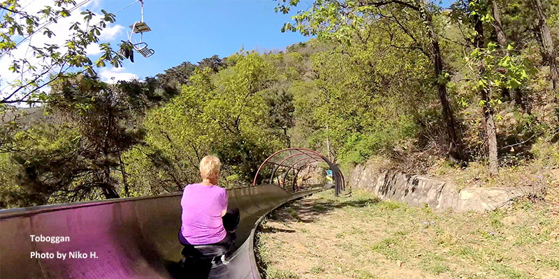 Take a toboggan down the mountain