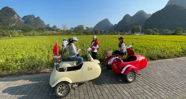 sidecar by the rice paddies