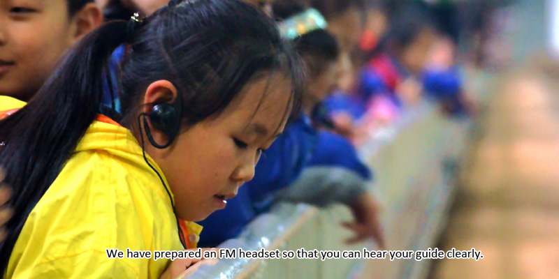 Equipped with a FM headset