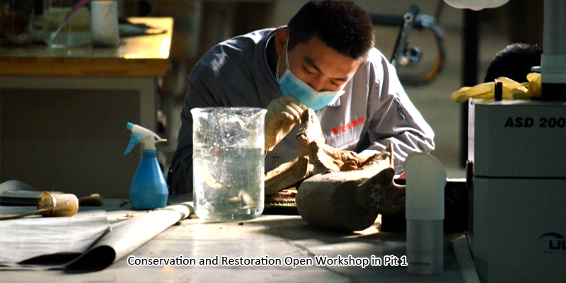 Conservation and Restoration Open Workshop