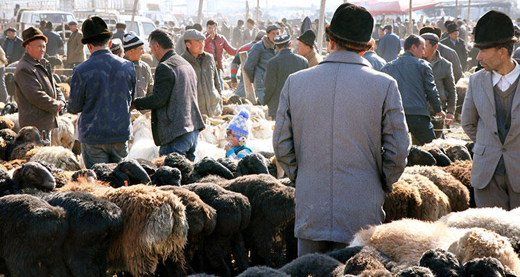 Livestock bazzar in Kashgar
