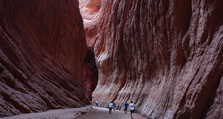 red sandstone canyon