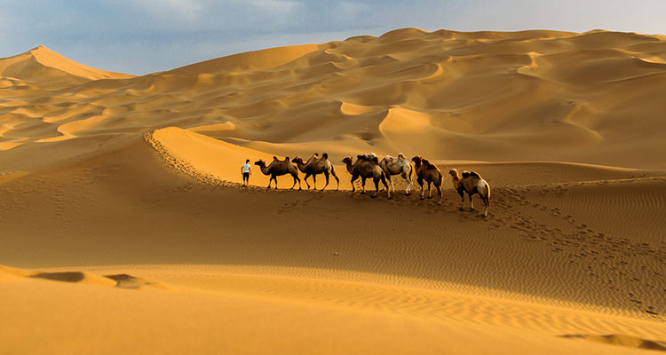 7-Day Xinjiang Highlights Tour, Best for First-Timers