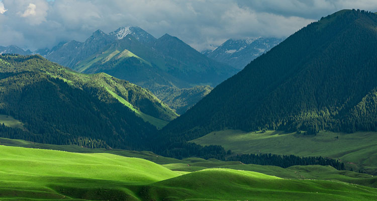 the grassland on Heavenly Mountain