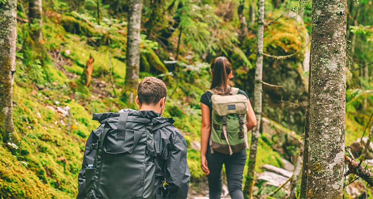 hiking in the forest