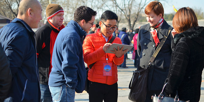 Trippest professional tour guide