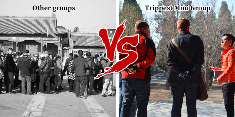 Trippest VS other tour groups