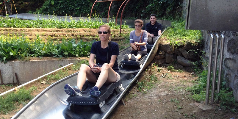 Take a toboggan down the mountain