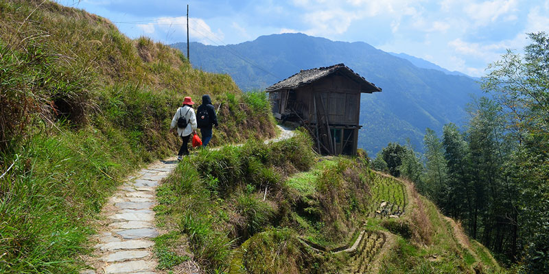 Hiking along the fields