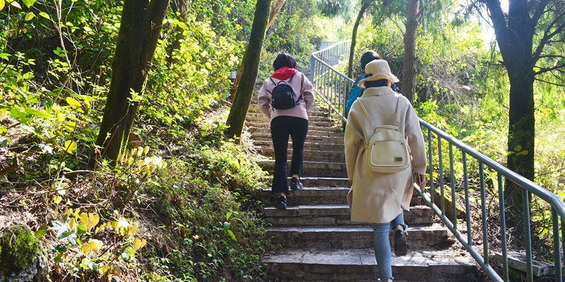 Steps to the hill top