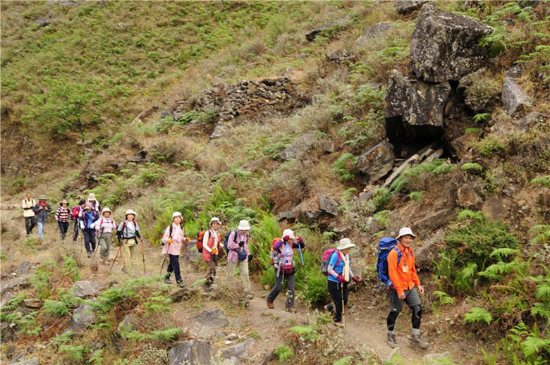 We are experienced and professional