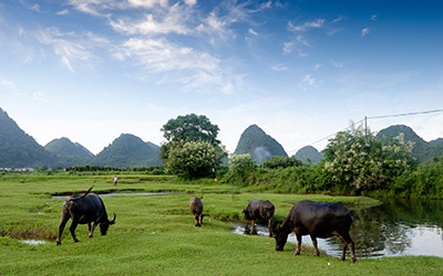 la campagne de Yangshuo
