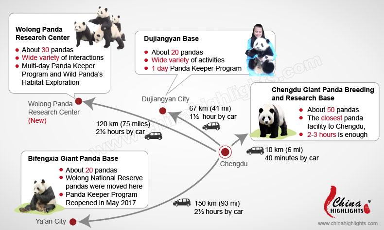 China Panda Tours, Panda Volunteer Program in China