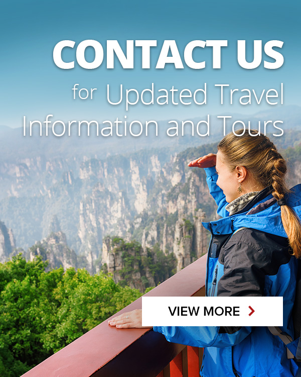 Contact us updated travel information