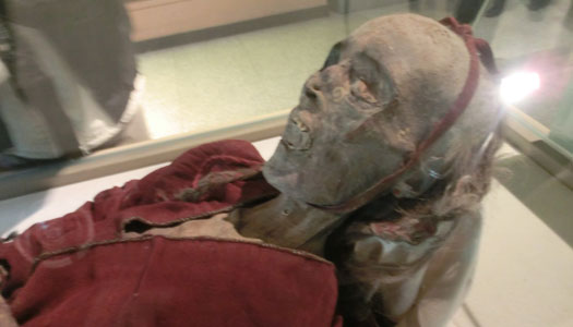 Xinjiang Uyghur Autonomous Region Museum