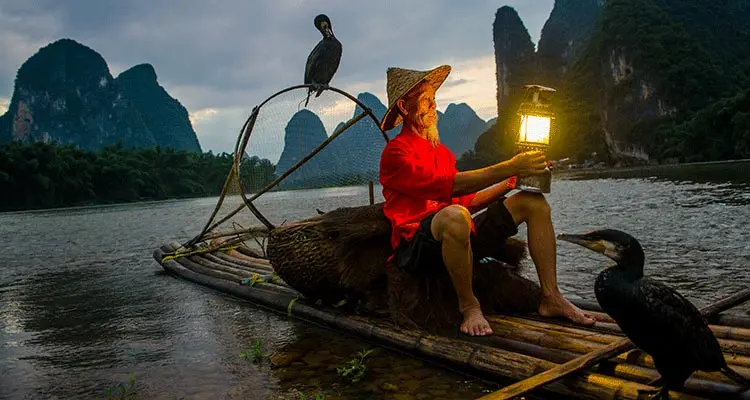 admire the li river sunset and watch cormorant fishing