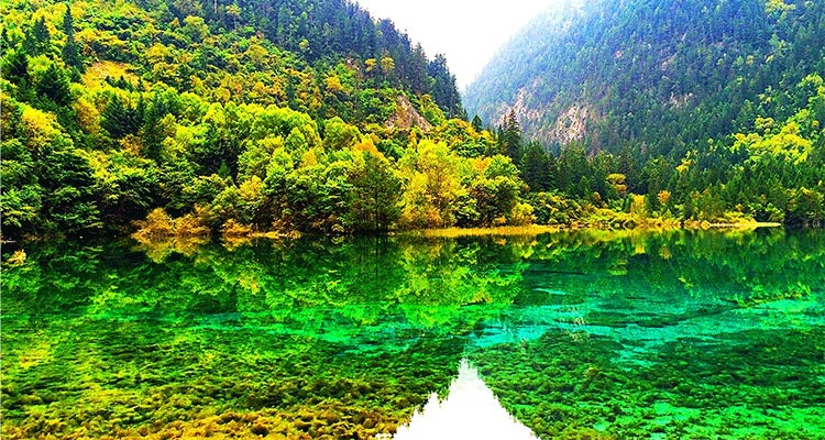九寨溝