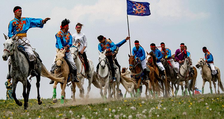 watching horse racing