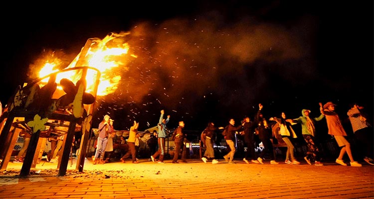 the bonfire party in the grassland