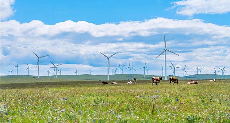 Huitengxile Grassland
